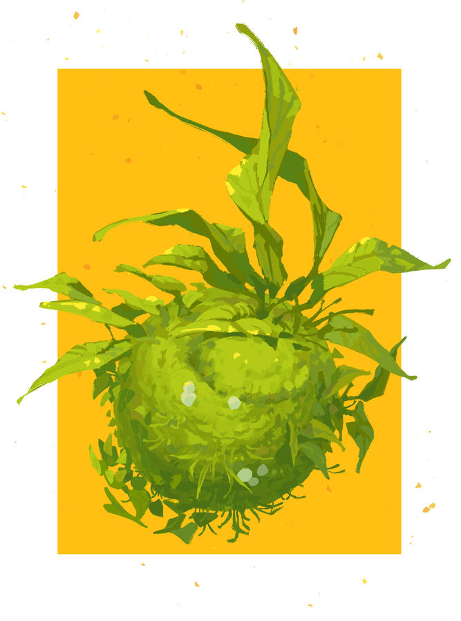 Moss ball, speed paint practice done in procreate